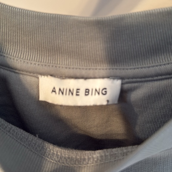 Anine Bing Tyler Satin Bing Sweatshirt in Sage - Picture 7 of 11